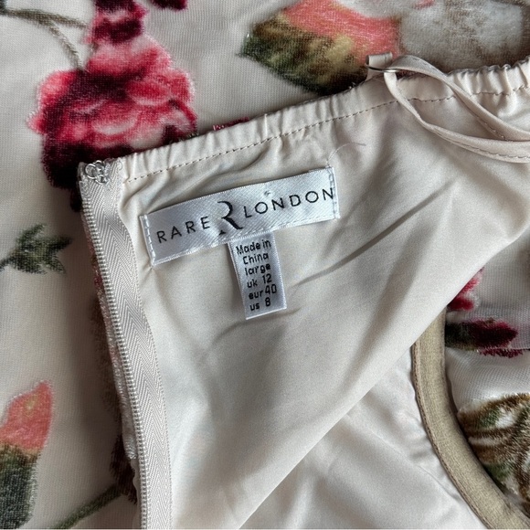 Rare London Floral Mini Dress – L (US8) – Romantic Lace Trim & Velvet Details - Picture 6 of 14